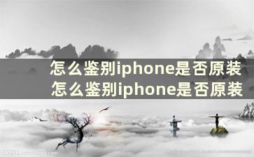 怎么鉴别iphone是否原装 怎么鉴别iphone是否原装